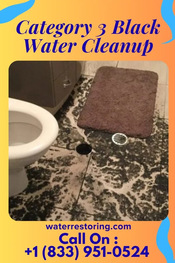 Category 3 Black Water Cleanup in Garden City, SC
