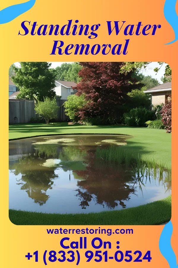 Standing Water Removal in Garden City, SC